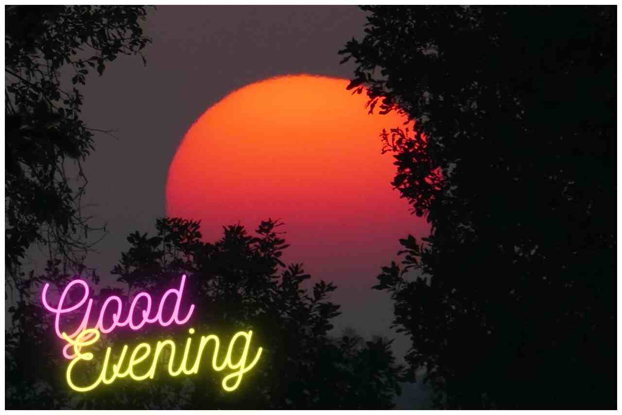 Good evening message with a full moon rising behind a silhouetted tree